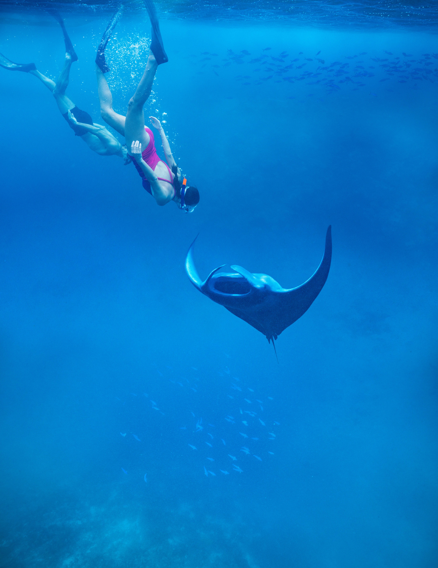 Anantara Kihavah Maldives Villas Resort - Baa Atoll, Maldives - Manta Ray Snorkelling