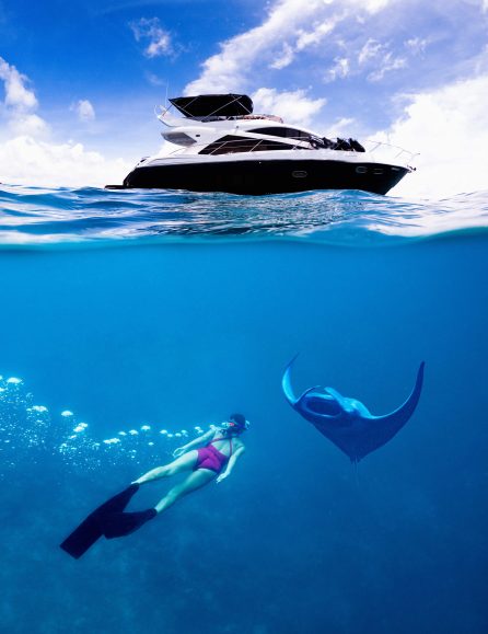 Anantara Kihavah Maldives Villas Resort - Baa Atoll, Maldives - Manta Ray Snorkelling
