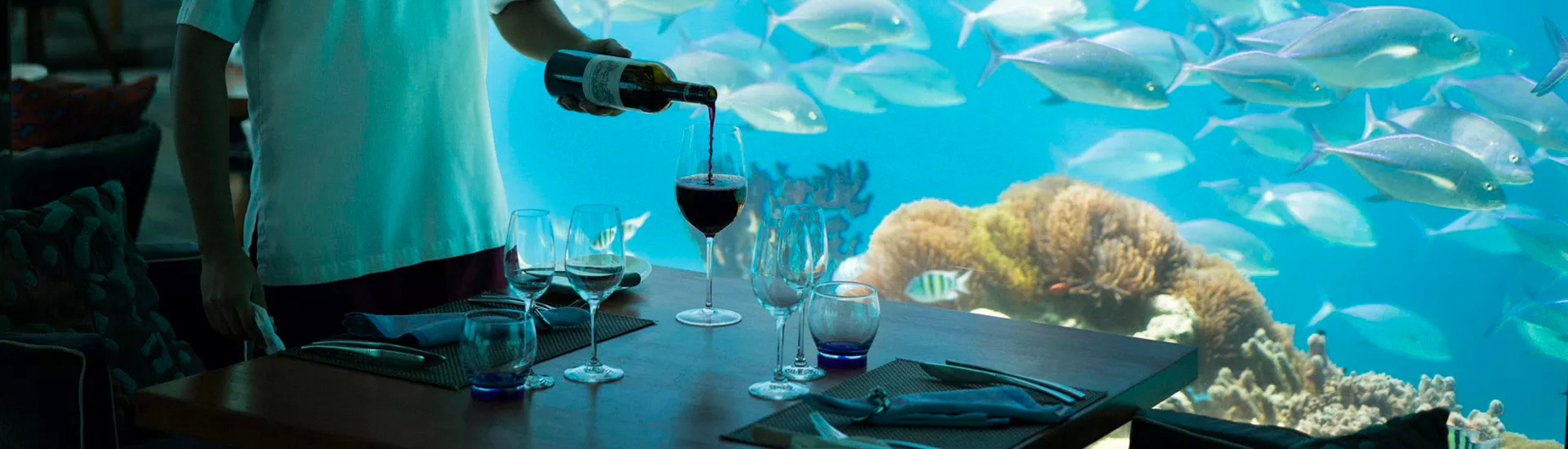 Anantara Kihavah Maldives Villas Resort – Baa Atoll, Maldives – SEA Underwater Restaurant