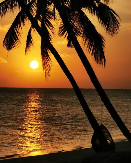 Baglioni Resort Maldives - Maagau Island, Rinbudhoo, Maldives - Palm Trees Sunset