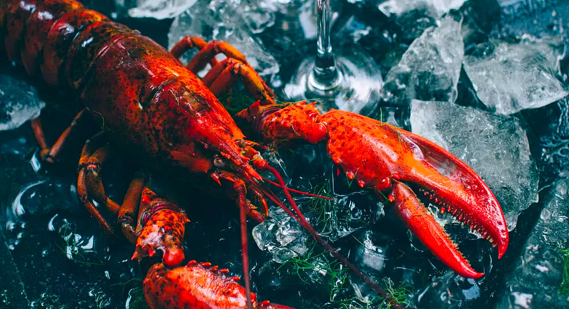 Anantara Kihavah Maldives Villas Resort – Baa Atoll, Maldives – SPICE Restaurant Gourmet Food