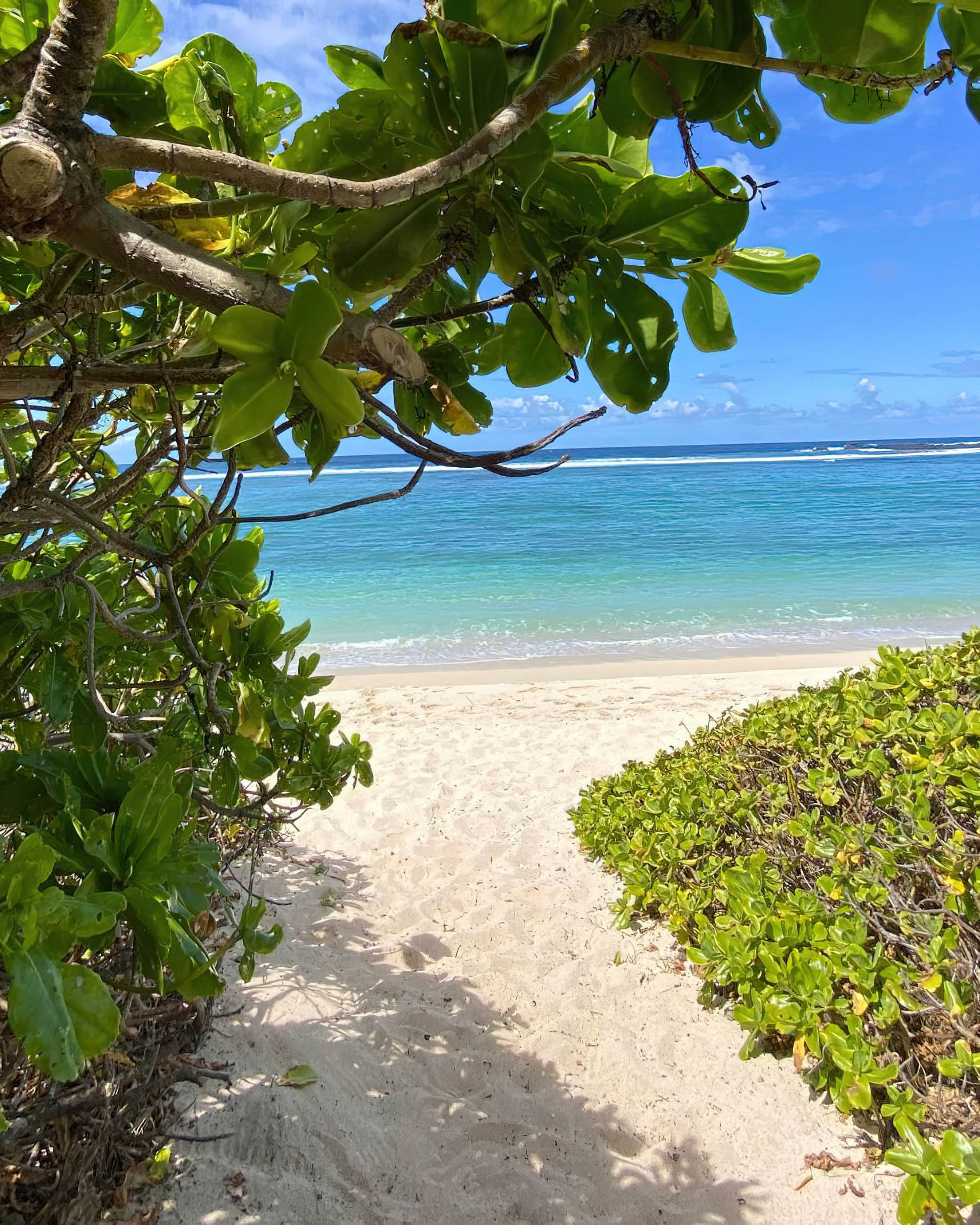 Anantara Iko Mauritius Resort & Villas – Plaine Magnien, Mauritius – Beach Path
