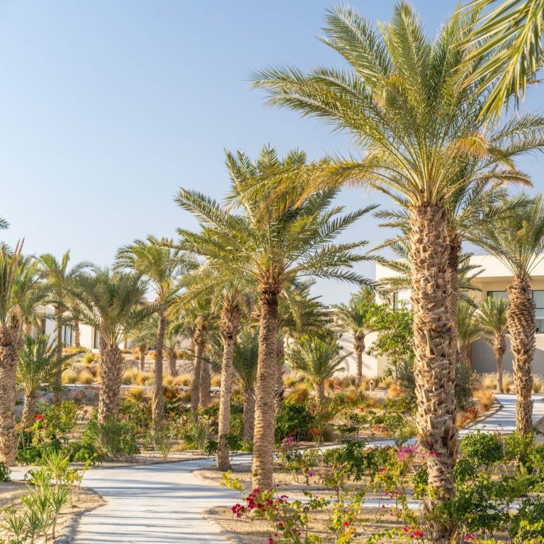 Anantara Sahara Tozeur Resort & Villas – Tozeur, Tunisia – Resort Pathway