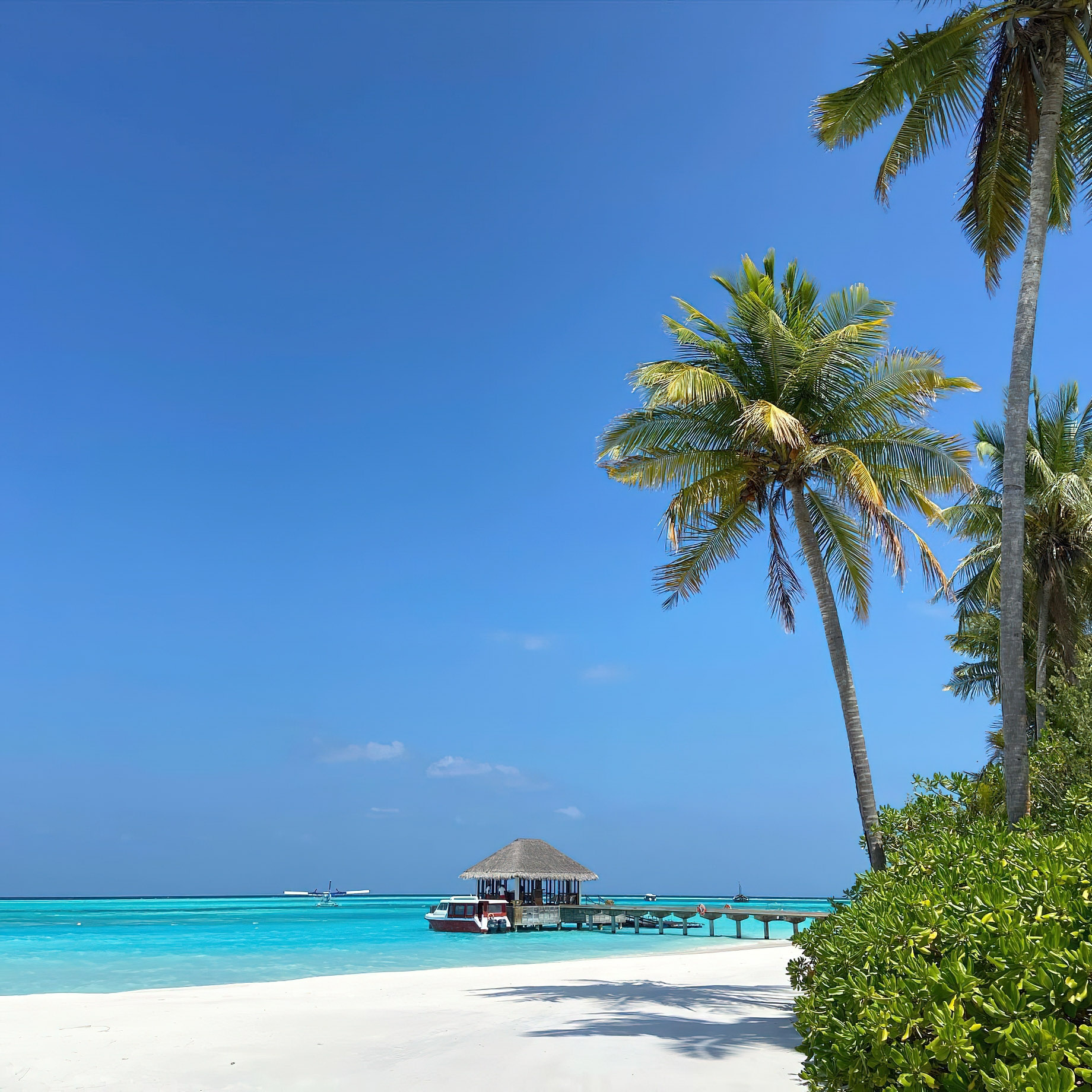 Niyama Private Islands Maldives Resort - Dhaalu Atoll, Maldives - Arrival Jetty Beach View