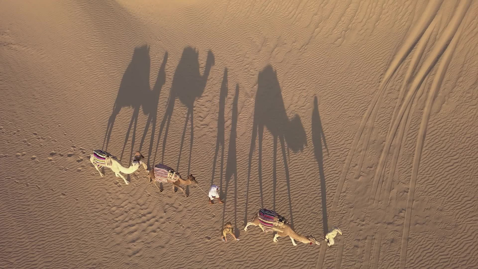 Anantara Sahara Tozeur Resort & Villas – Tozeur, Tunisia – Desert Camel Adventure