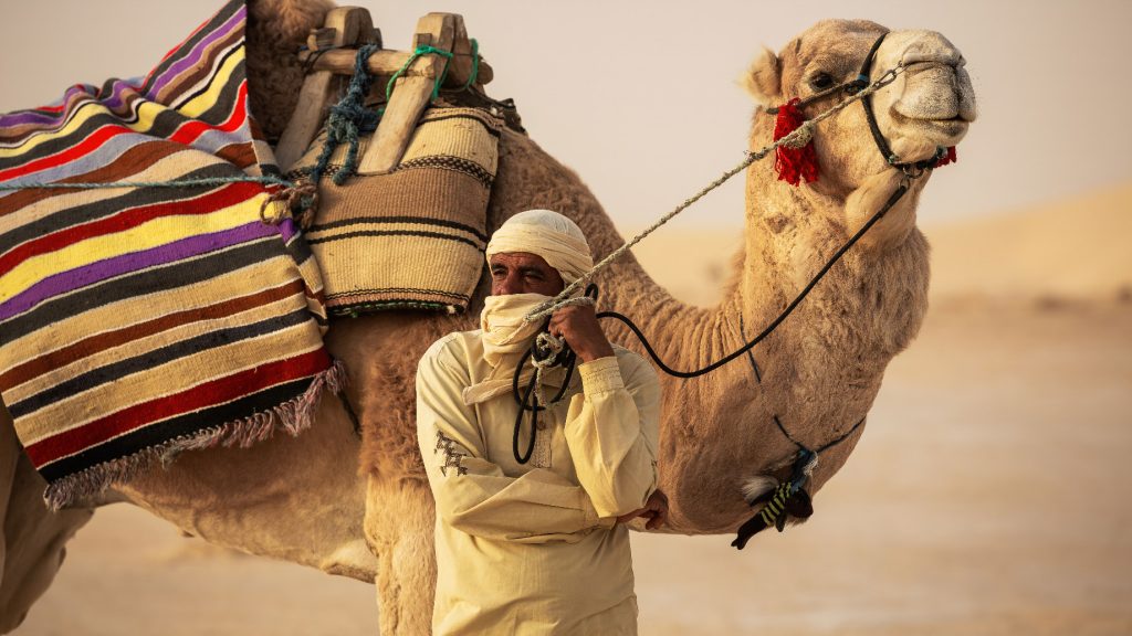 Anantara Sahara Tozeur Resort & Villas - Tozeur, Tunisia - Desert Camel Adventure