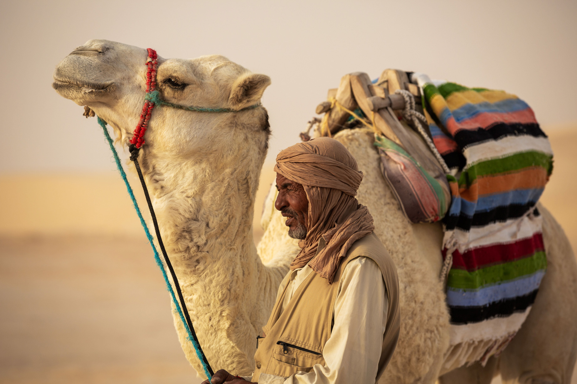 Anantara Sahara Tozeur Resort & Villas - Tozeur, Tunisia - Desert Camel Adventure