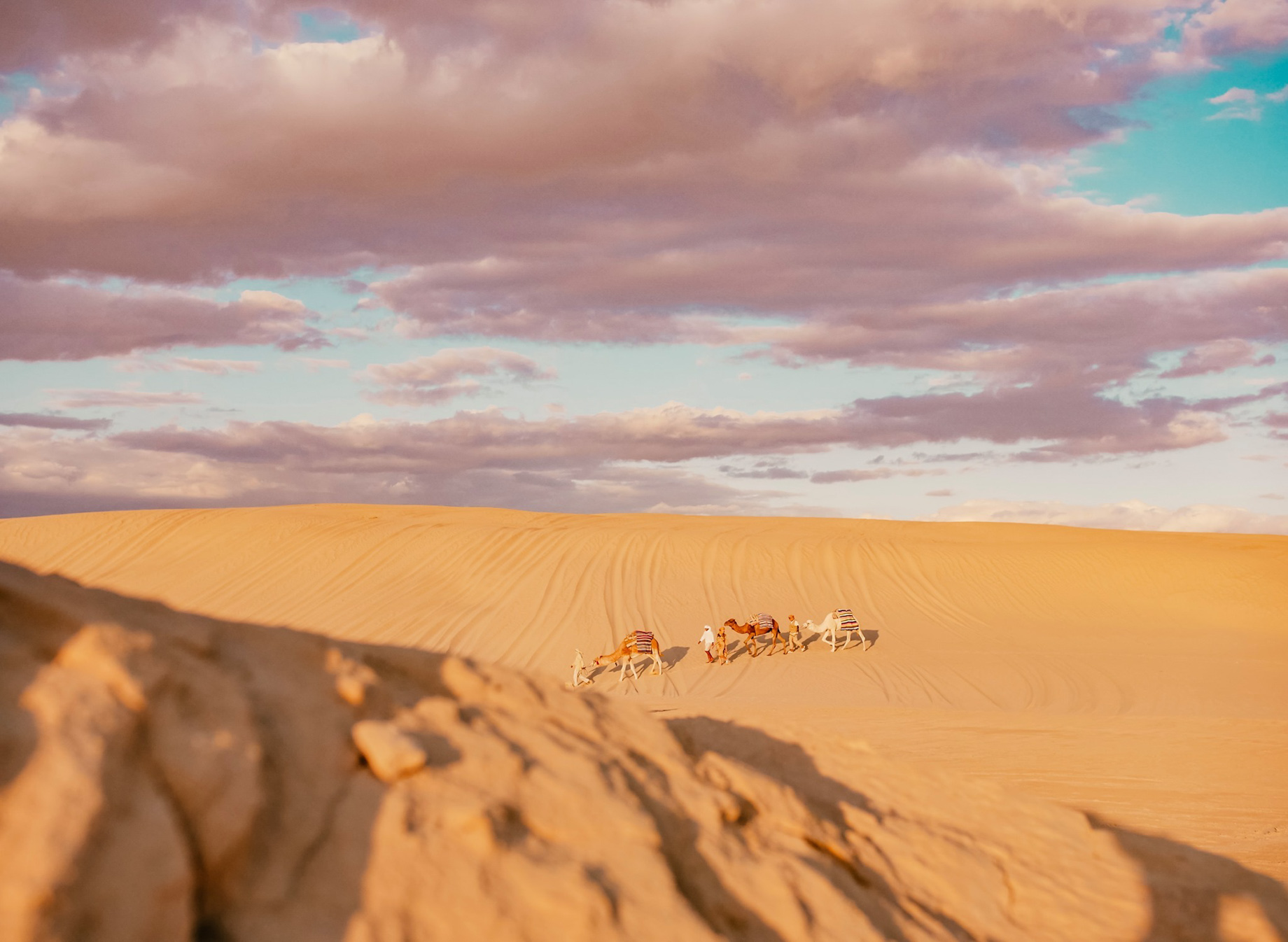 Anantara Sahara Tozeur Resort & Villas - Tozeur, Tunisia - Desert Camel Adventure