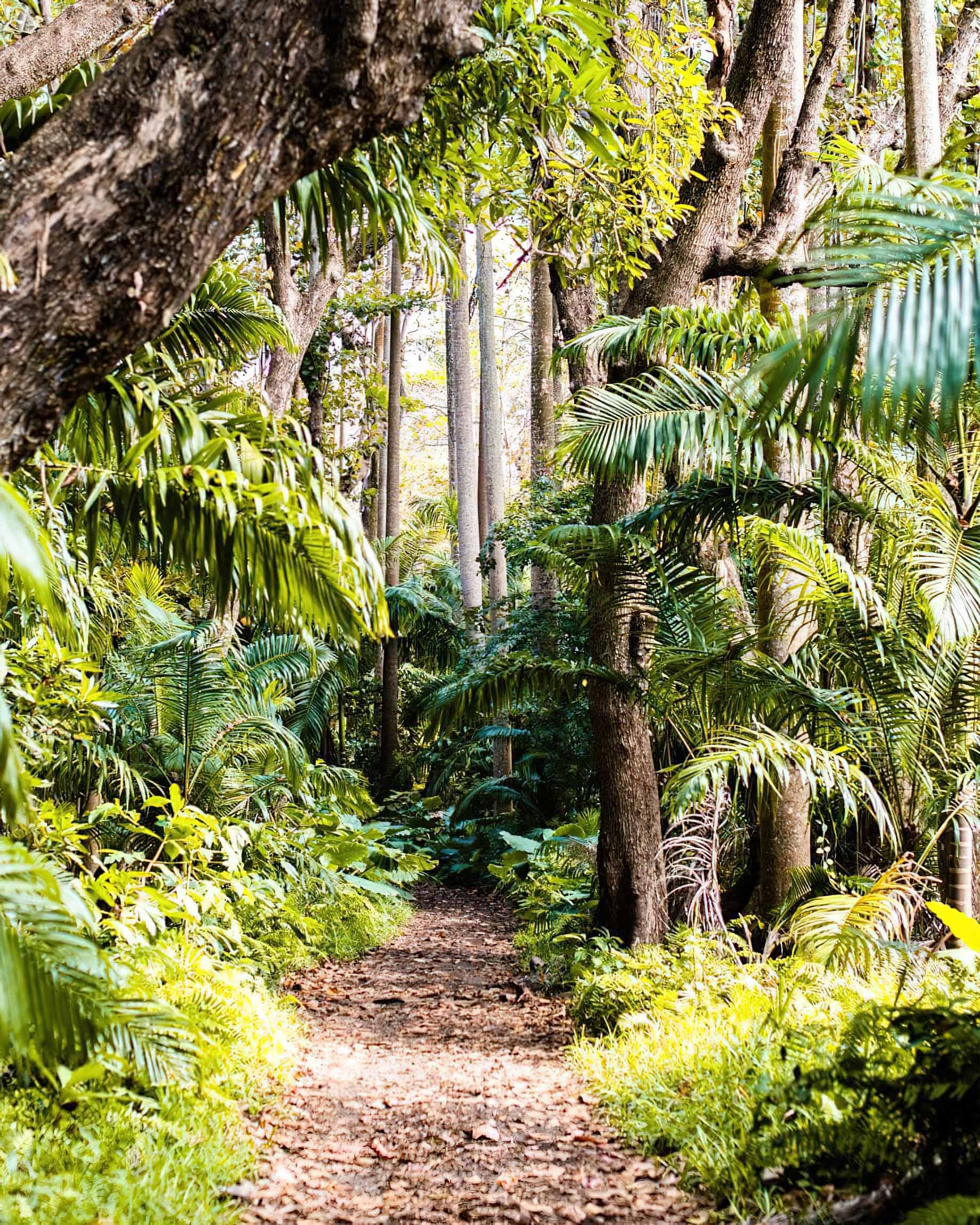 Anantara Iko Mauritius Resort & Villas - Plaine Magnien, Mauritius - Hiking