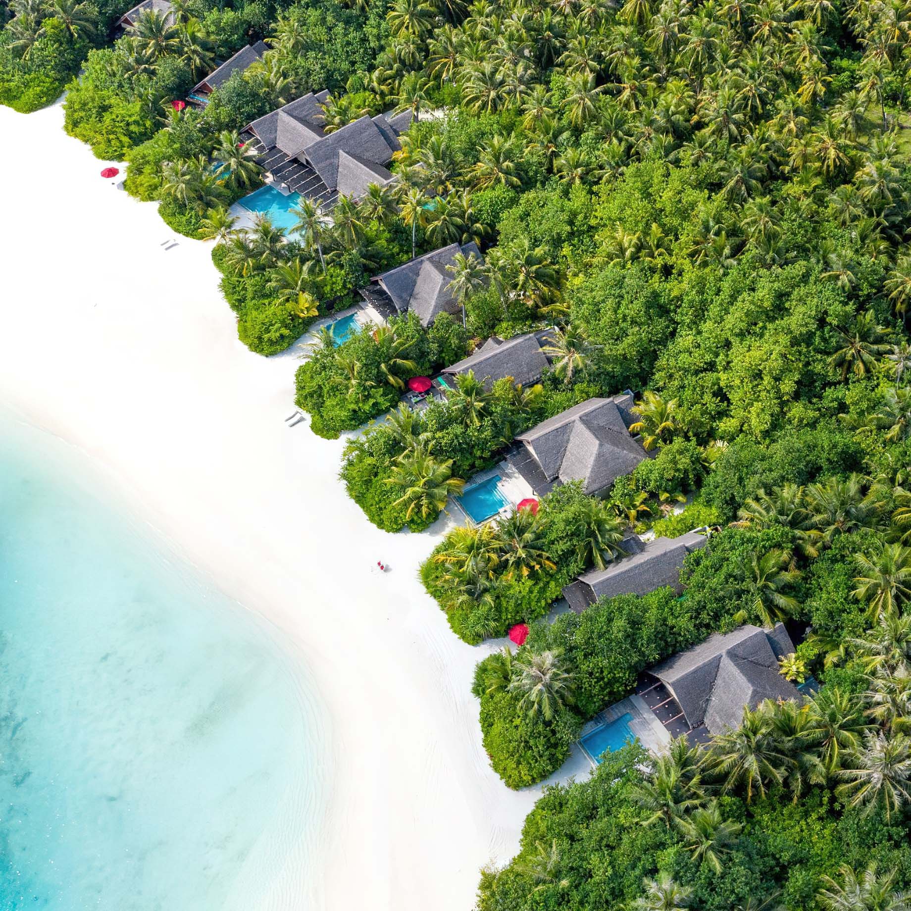 Niyama Private Islands Maldives Resort - Dhaalu Atoll, Maldives - Beach Pool Villas Aerial View