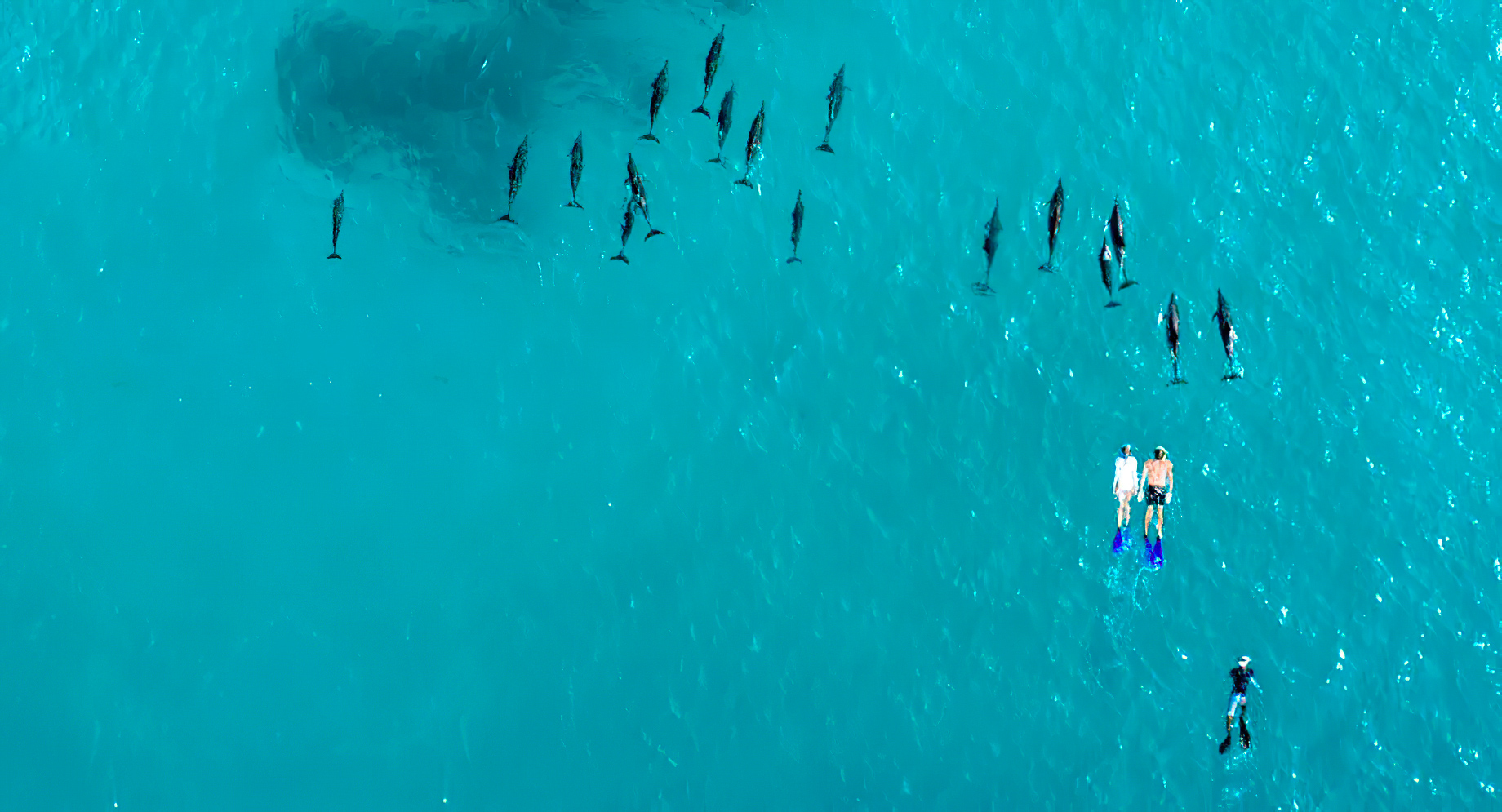 Naladhu Private Island Maldives Resort – South Male Atoll, Maldives – Snorkelling