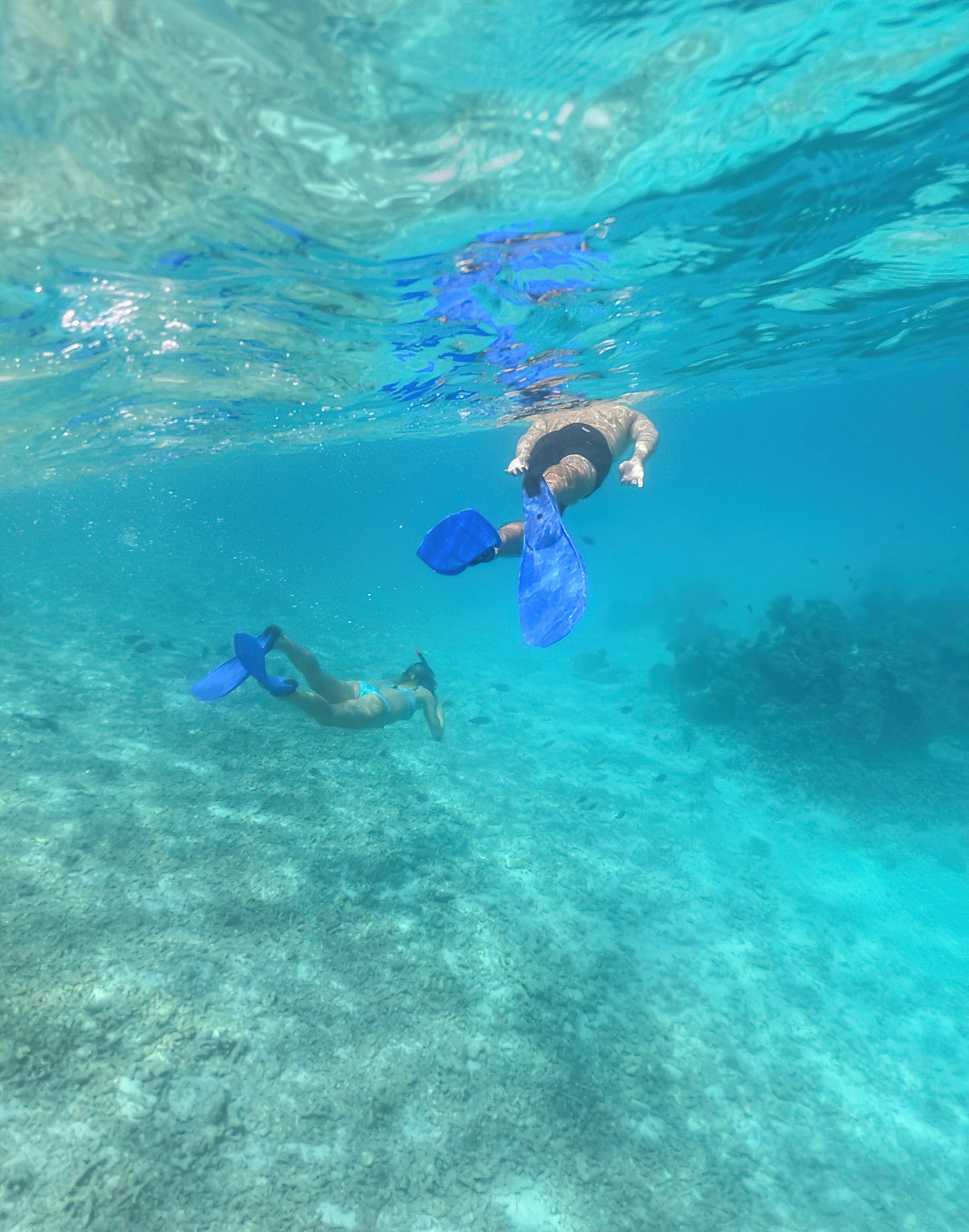 Naladhu Private Island Maldives Resort – South Male Atoll, Maldives – Snorkelling