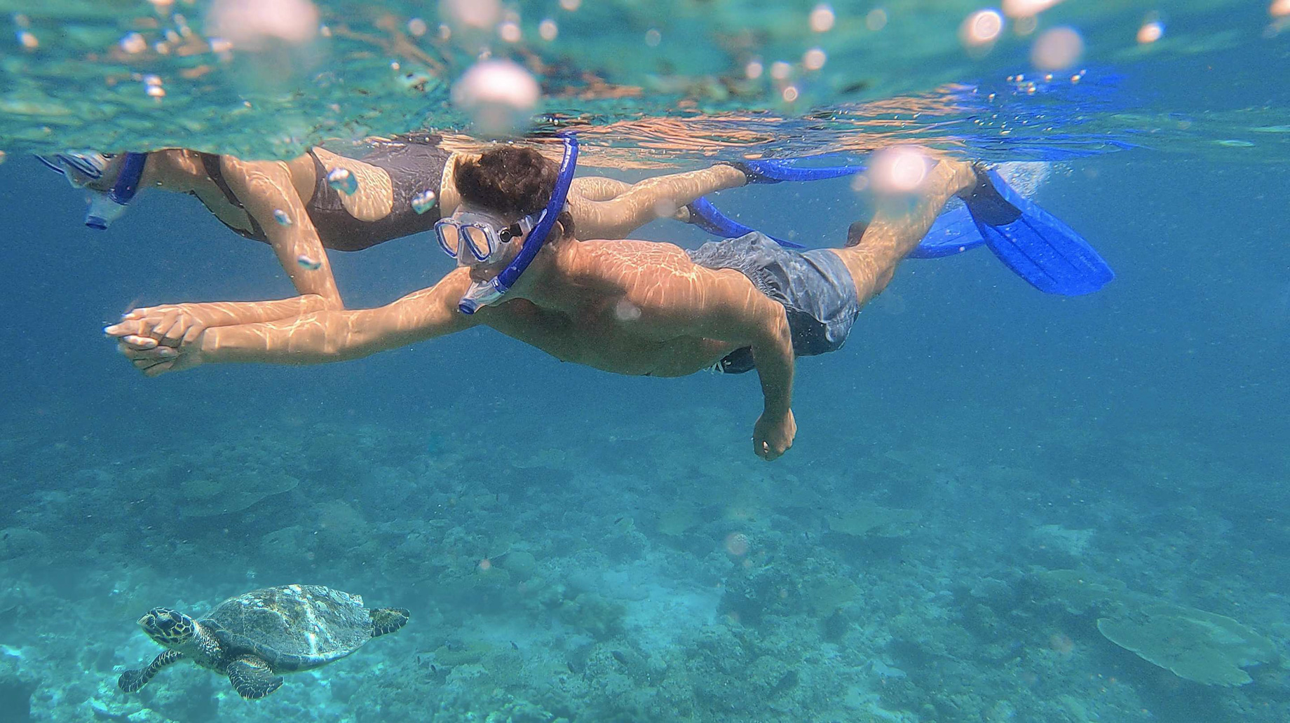 Naladhu Private Island Maldives Resort – South Male Atoll, Maldives – Turtle Underwater View