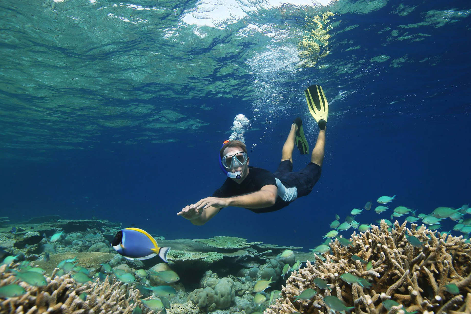 Naladhu Private Island Maldives Resort – South Male Atoll, Maldives – Snorkelling