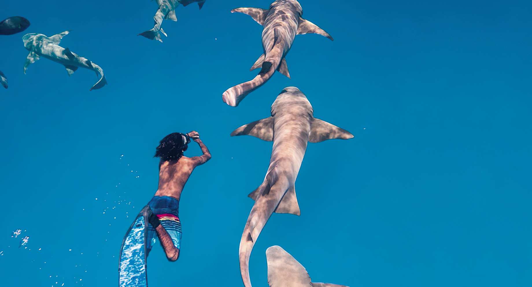 Naladhu Private Island Maldives Resort – South Male Atoll, Maldives – Snorkelling