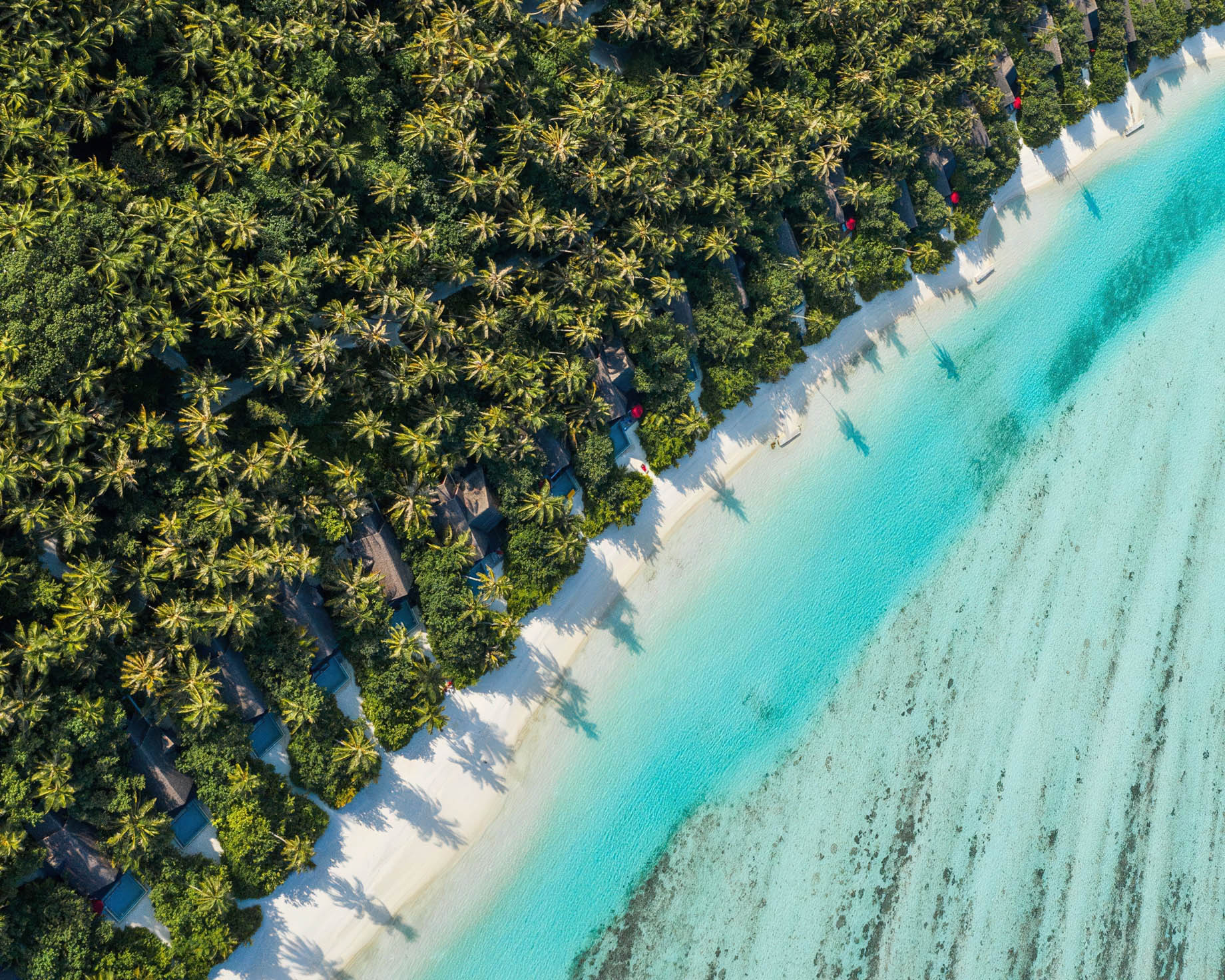 Niyama Private Islands Maldives Resort – Dhaalu Atoll, Maldives – Beach Pool Villas Overhead Aerial View