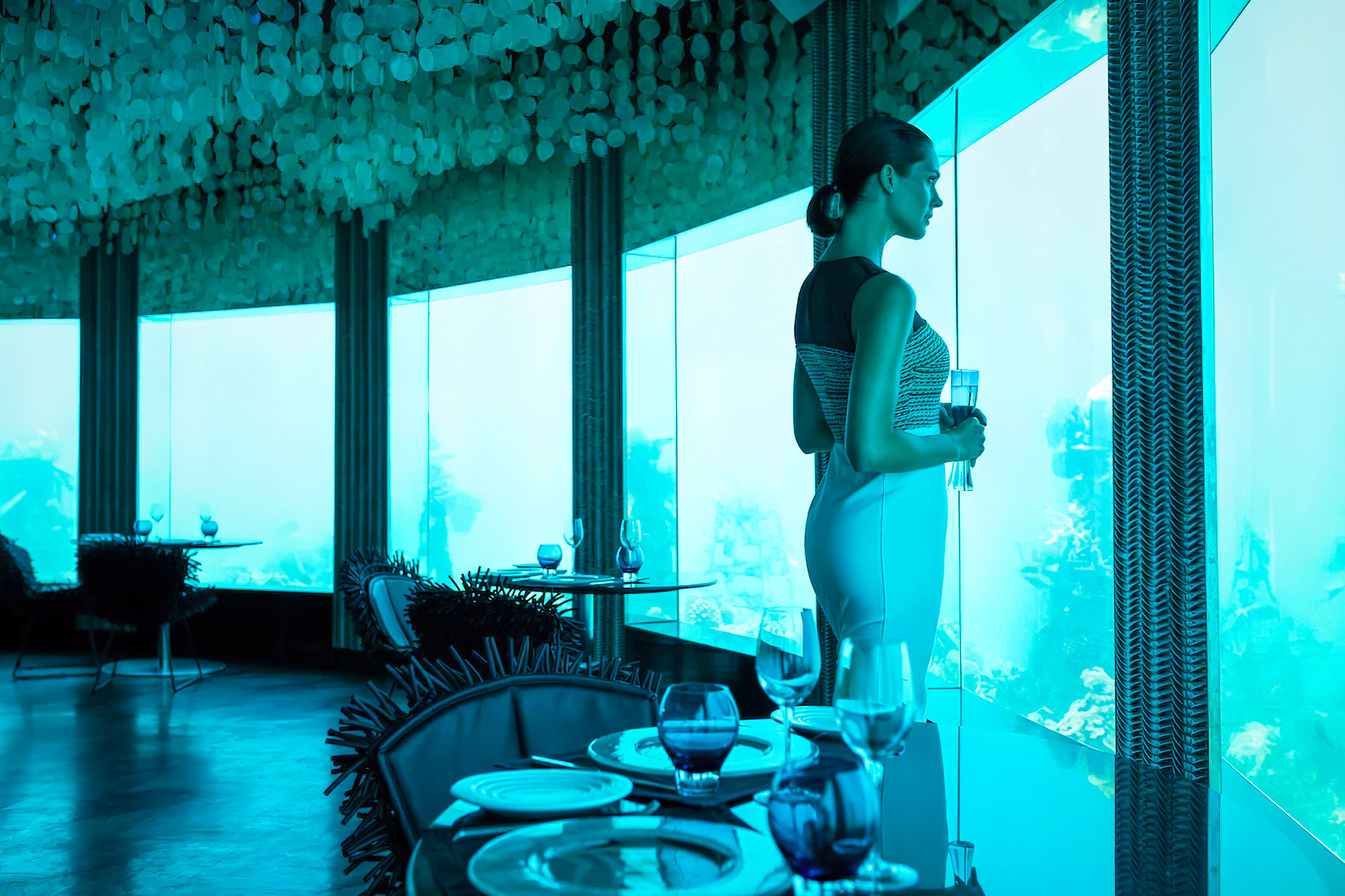 Niyama Private Islands Maldives Resort - Dhaalu Atoll, Maldives - Subsix Underwater Restaurant