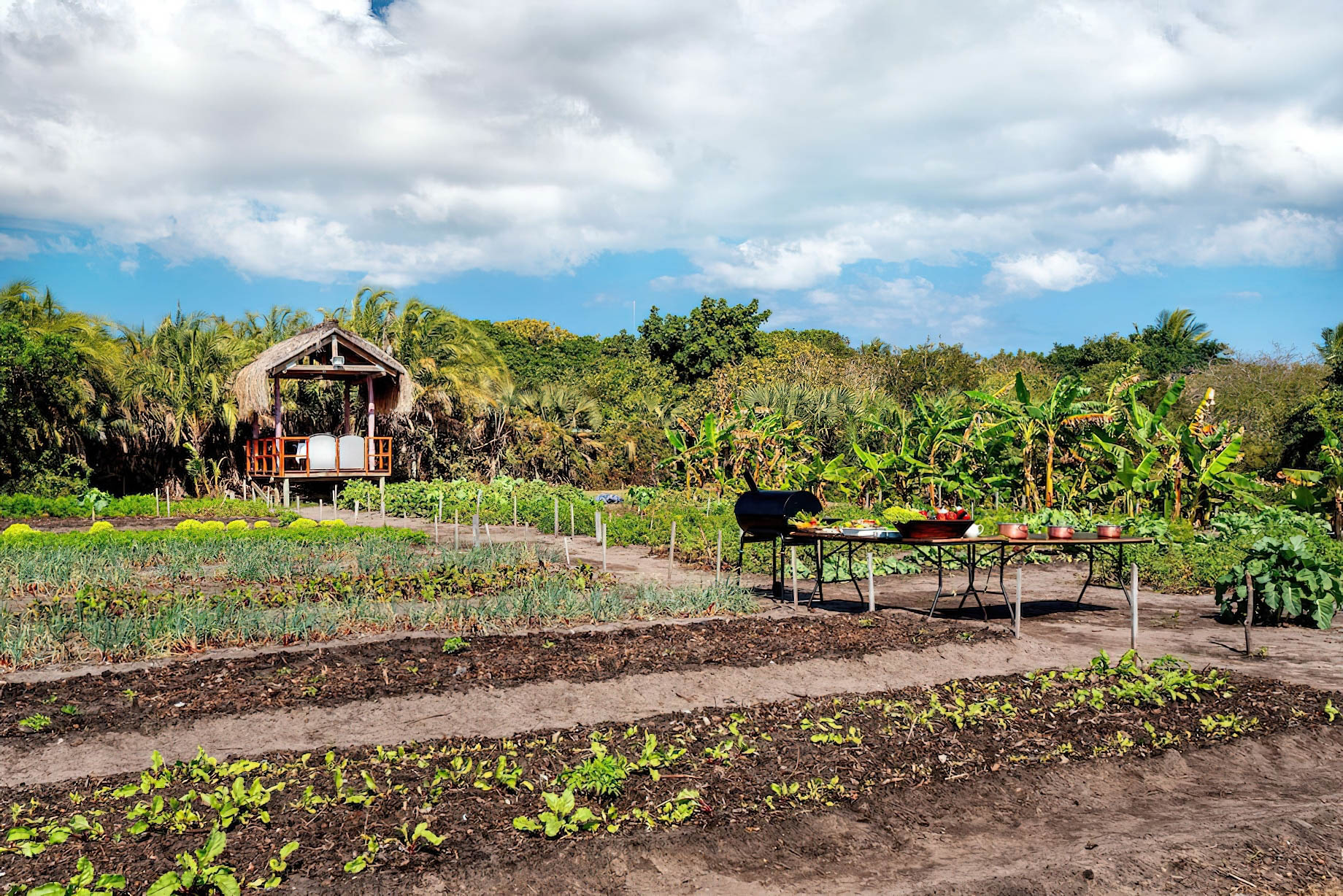 Anantara Bazaruto Island Resort – Mozambique – Spice Spoons Gourmet Lunch