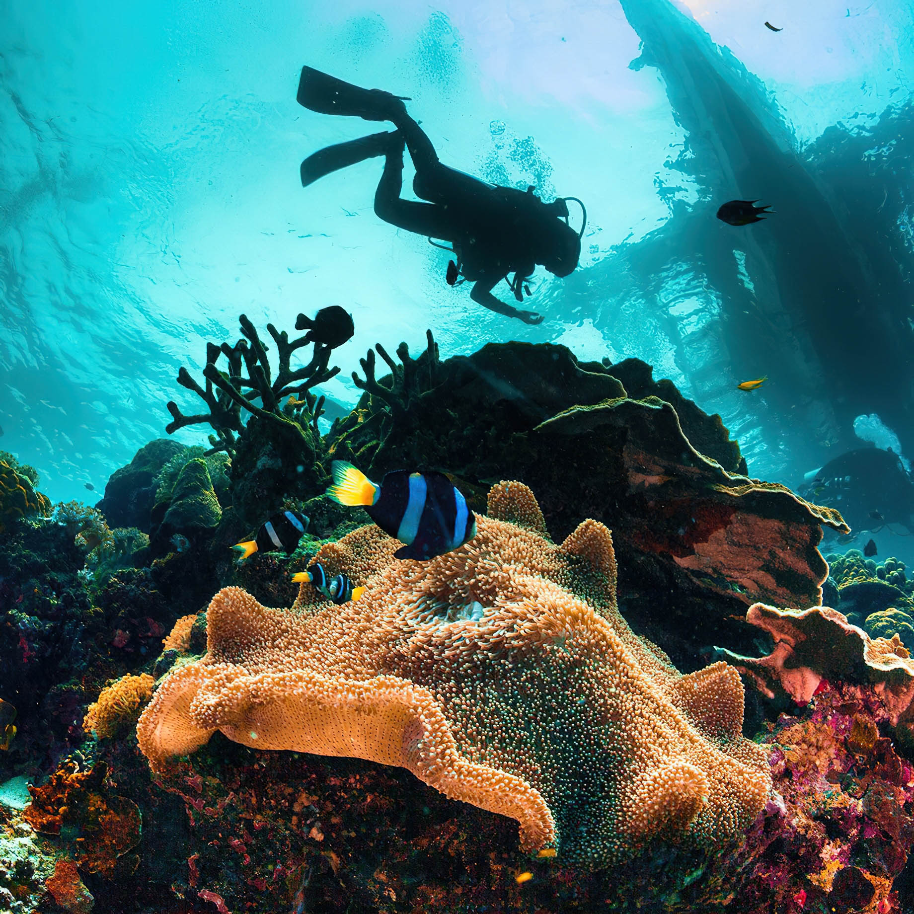 Anantara Bazaruto Island Resort - Mozambique - Scuba Diving