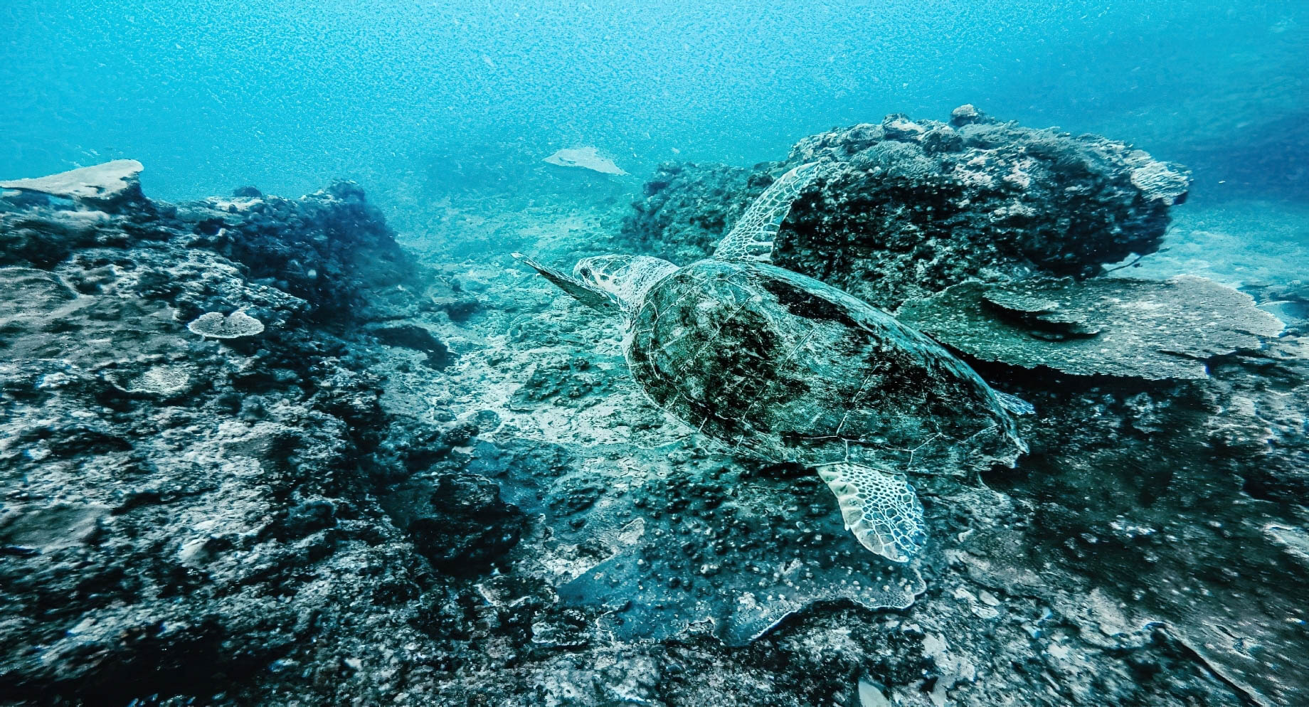 Anantara Bazaruto Island Resort – Mozambique – Underwater View