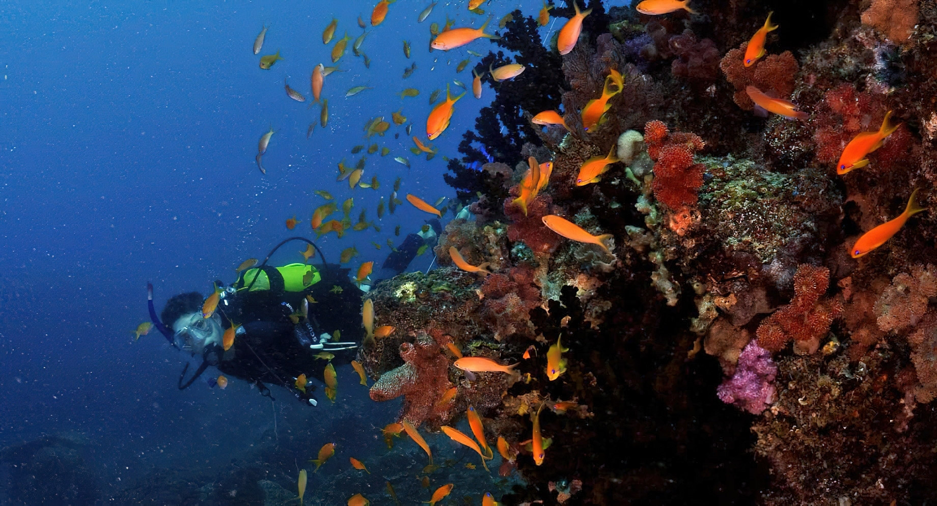 Anantara Bazaruto Island Resort – Mozambique – Scuba Diving