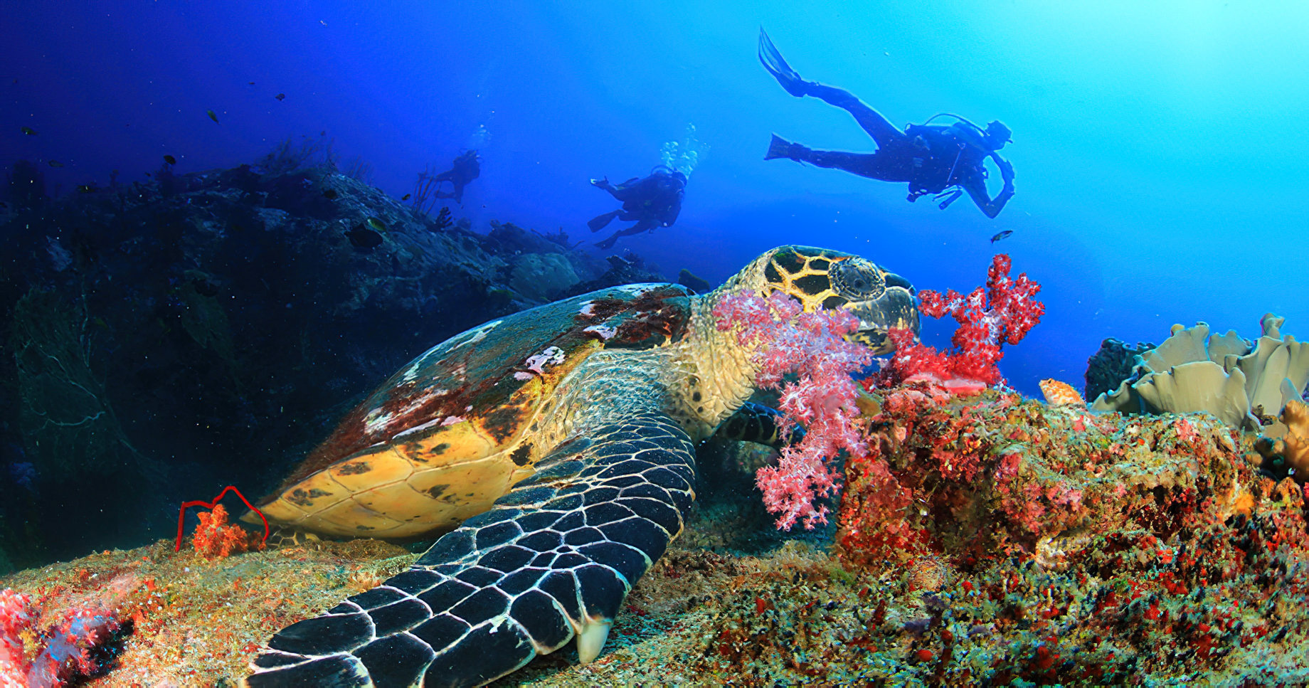 Anantara Bazaruto Island Resort – Mozambique – Scuba Diving