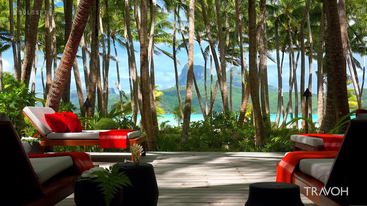 5 hours ASMR Tropical Palm Tree Island Sounds - Motu Tane, Bora Bora, French Polynesia 4K Travel