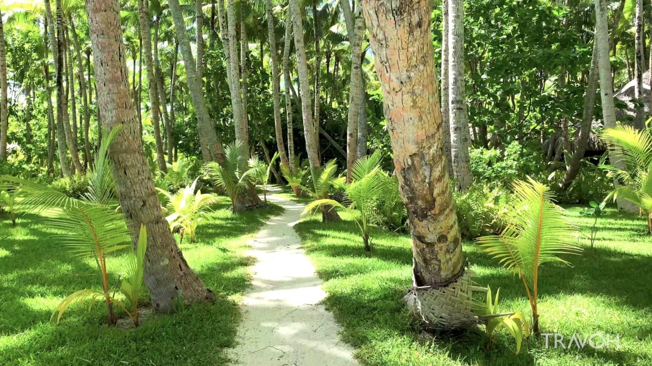 A Walk In Paradise - Tropical Private Island Motu Tane, Bora Bora, French Polynesia - 4K Travel