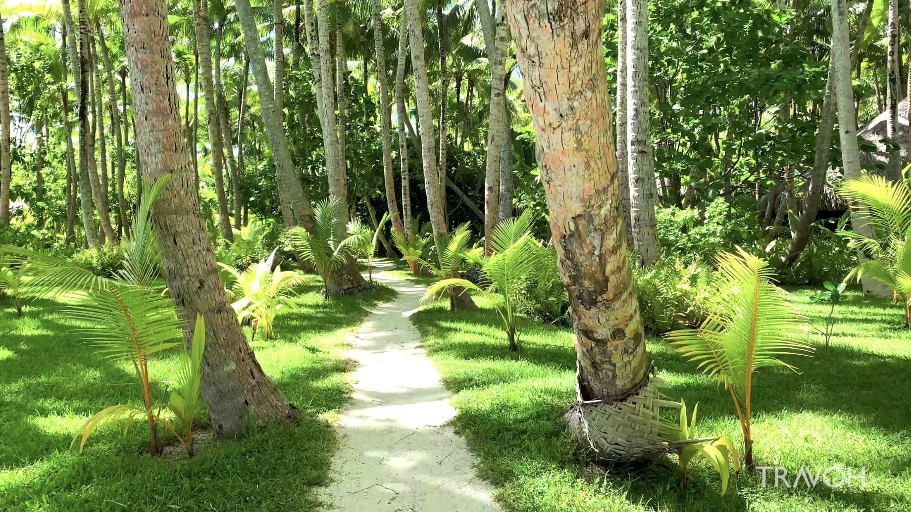 A Walk In Paradise - Tropical Private Island Motu Tane, Bora Bora, French Polynesia - 4K Travel