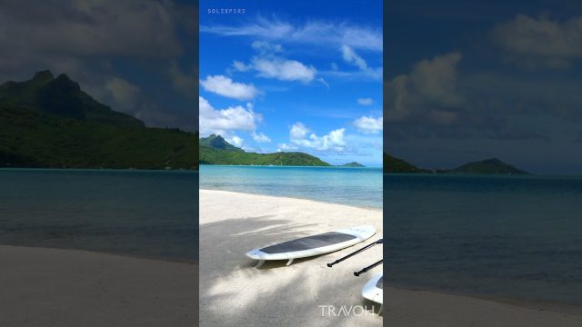 Bora Bora Paradise - Beach, Sea, Paddle Boards - Motu Tane Island - French Polynesia #shorts