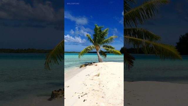 Breathtaking Bora Bora Beach - Tropical Sea - Motu Tane Island - French Polynesia #shorts