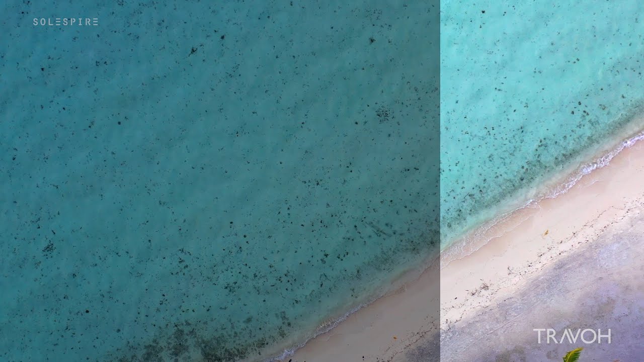 Calming Waves – Relaxing Sea After Sunset – Motu Tane – Bora Bora, French Polynesia 🇵🇫 – 4K Travel Video