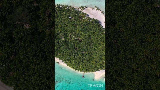 Drone View - Boat Docking - Motu Tane Tropical Island - Bora Bora, French Polynesia #shorts