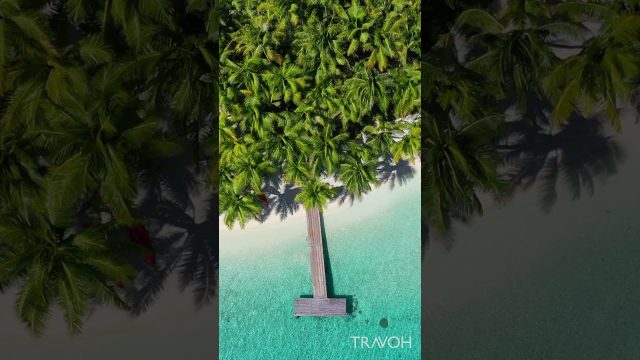 Drone View - Tropical Paradise Island, Sea, Dock - Motu Tane, Bora Bora, French Polynesia #shorts