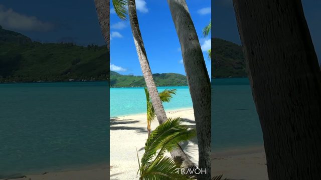 Exploring Motu Tane - Tropical Dream Island - Bora Bora, French Polynesia #shorts