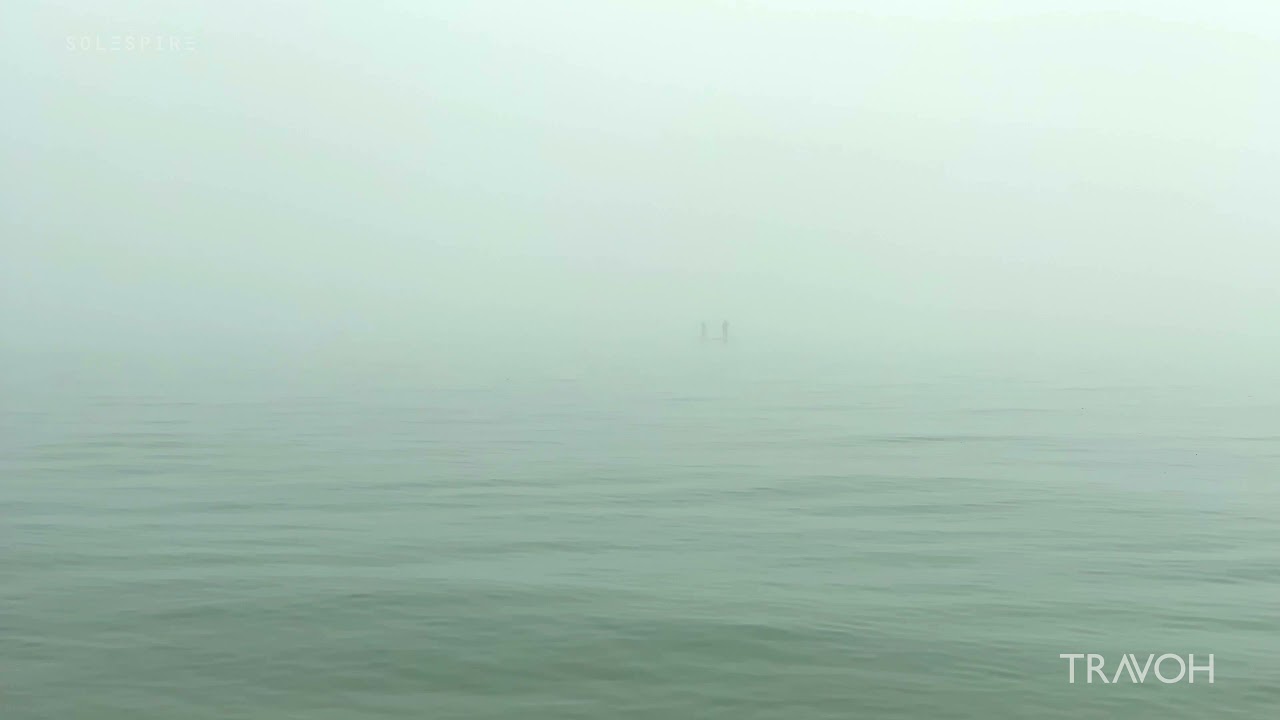 Fog On The Beach In New Zealand - Beach Lifestyle - 4K Travel
