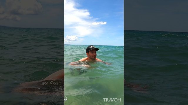 Marcus Anthony in Kihei, Maui, Hawaii - Relaxing Tropical Swimming - Ambience - 4K Travel #shorts