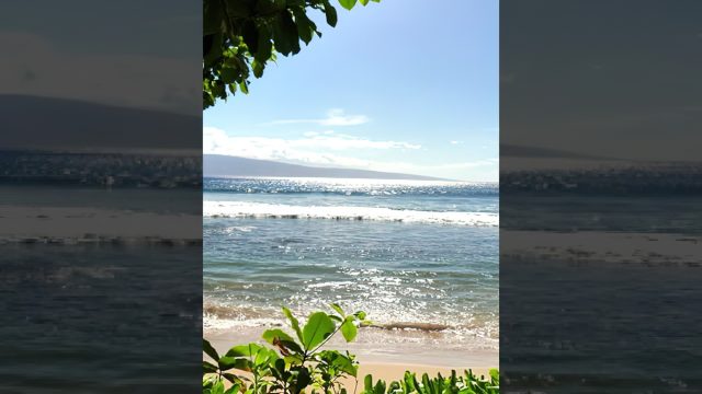 Maui Beach Waves Island Paradise Relax - Tropical Meditation - Hawaii, USA 4K Travel #shorts
