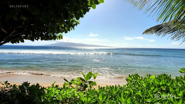 Maui Hawaii Ocean Nature Experience Relaxing Tropical Beach Meditation - 4K Travel