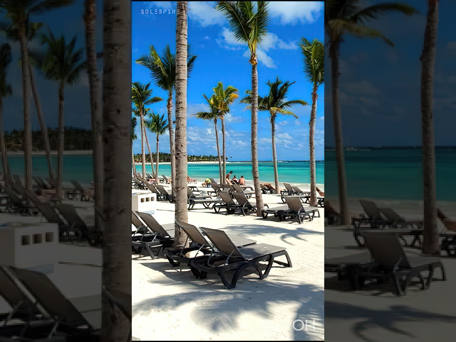 Mexico Beach Luxury Resort - Barcelo Maya Riviera, Quintana Roo - 4K HD Travel #shorts