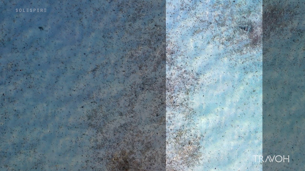 Mindful Seafloor Stillness - Calming Waves - Bora Bora, French Polynesia - Vertical 4K Travel