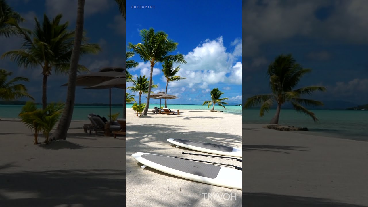 Motu Tane Dream Island Paradise - Beach, Sea, Paddle Boards - Bora Bora, French Polynesia #shorts