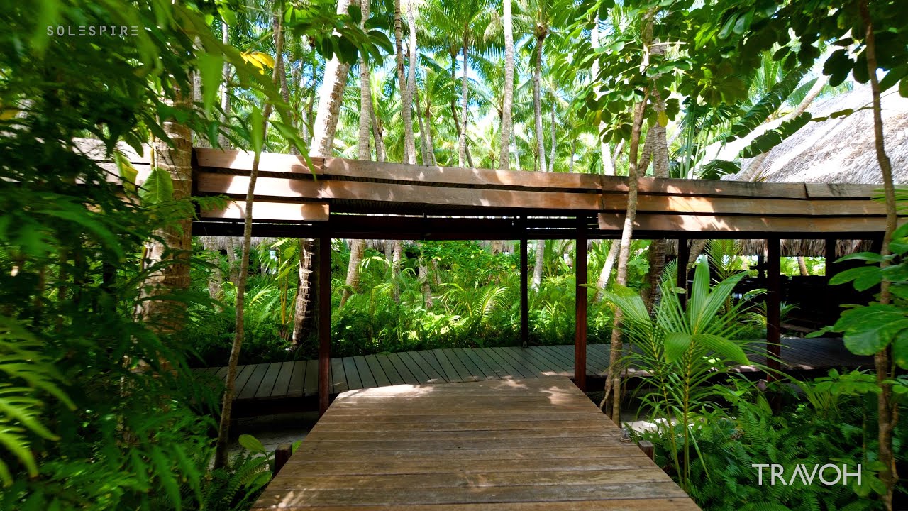 Motu Tane Tropical Island Life - Bora Bora, French Polynesia - Marcus Anthony & Bob Hurwitz - Part 3