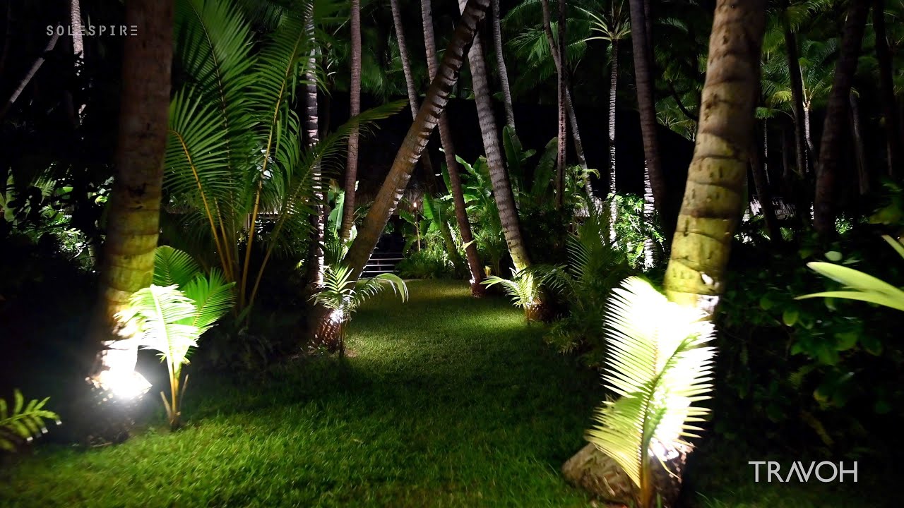 Motu Tane Tropical Nightlife - Bora Bora, French Polynesia - Marcus Anthony & Bob Hurwitz - Part 9
