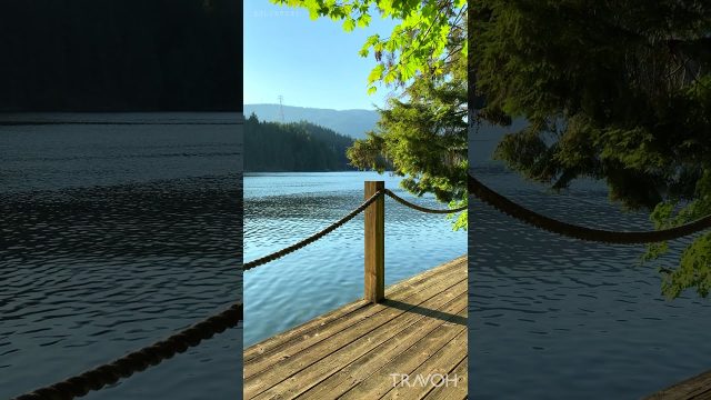 Nature Sounds - Ocean Ambience - Belcarra British Columbia, Canada - 4K HD Travel #shorts