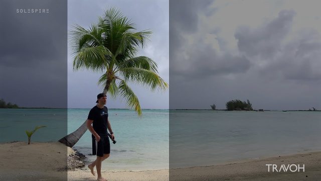 Palm Tree, Sea, Beach, Rain Sounds - Motu Tane, Bora Bora, French Polynesia - Vertical 4K Travel