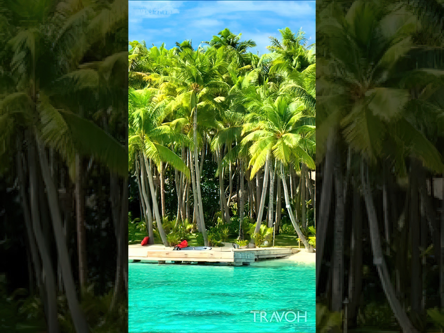 Private Island Boat Tour - Paradise - Motu Tane Bora Bora, French Polynesia 4K Travel #shorts