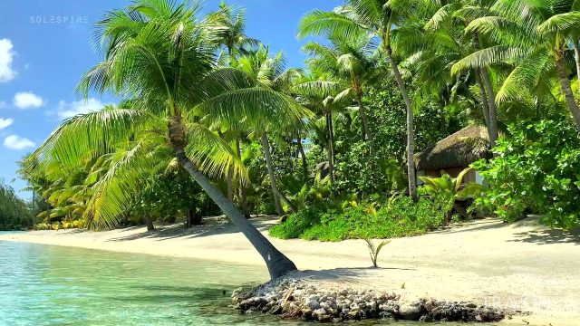 Private Island Boat Tour - Tropical Paradise - Motu Tane Bora Bora, French Polynesia 4K Travel