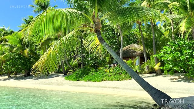 Private Island Boat Tour Tropical Paradise - Motu Tane Bora Bora, French Polynesia - 4K Travel