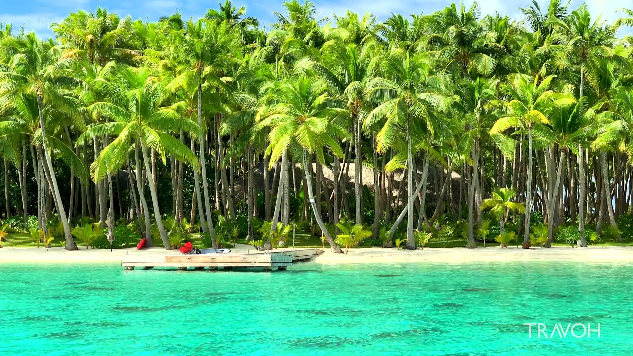 Private Island Boat Tour - Tropical Paradise - Motu Tane Bora Bora, French Polynesia - 4K Travel